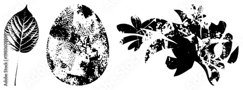 Vector leaf, egg, and branch designs with halftone and distressed textures, isolated graphic elements, nature inspired art, botanical motifs.