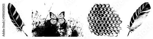 Graphic of feather, butterfly, and honeycomb in, stylized vector art, isolated design elements, halftone texture, nature motifs, minimalist aesthetic.