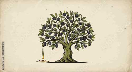 An olive tree with dark berries drips golden oil onto aged parchment