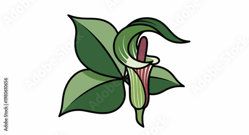 An illustrative depiction of a unique flowering plant with dark green leaves