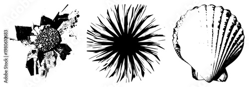 Sea urchin, starfish, scallop, marine life, oceanic vector art, isolated marine graphics, halftone style, underwater silhouette.