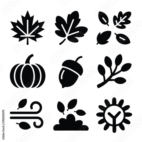 Autumn season symbol set, maple leaf acorn pumpkin branch wind swirl sun, cozy weather graphic, thanksgiving poster, farm market vector