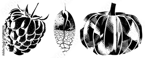 Black and white halftone illustrations of raspberry, seed pod, and pumpkin. Stylized botanical designs with stippling texture, isolated vector art for graphic design projects.