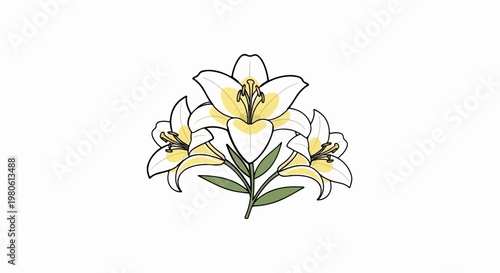 A delicate illustration of white lilies with yellow centers and green leaves