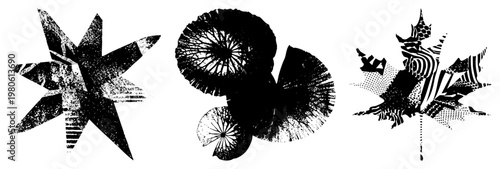 Vector art featuring starburst, circular, and leaf like forms with textured fills, design, graphic, stylized shapes.