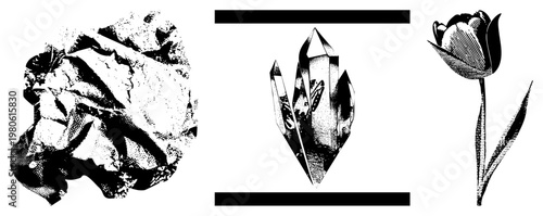 Three vector crumpled paper texture, faceted crystal cluster, tulip flower. Halftone dot style, isolated foreground elements, graphic design assets.