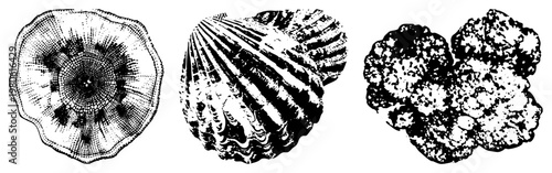 Graphic representations of using halftone, radial symmetry, and textured shading, ideal for marine themed design or tattoo art.