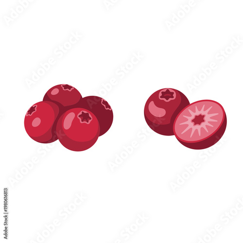 Isometric cranberries group, small berry set, whole and sliced, tart fruit, beverage ingredient, vector illustration, diet menu graphic, icon