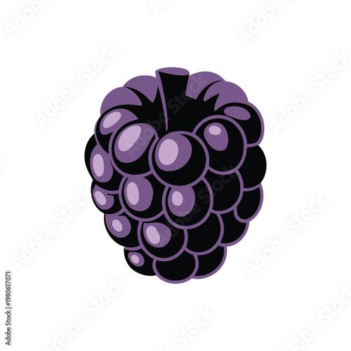 Isometric blackberry fruit, glossy dark berry cluster, antioxidant rich superfood, baking recipe element, summer harvest poster, farmers market vector illustration