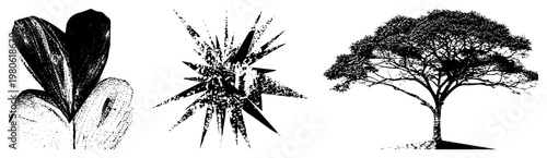 Stylized botanical leaf, explosive starburst graphic, solitary tree silhouette, halftone texture, isolated vector art, design, graphic illustration.
