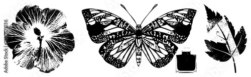 Stylized hibiscus flower, ornate butterfly with wings, ink bottle, and textured leaf, all in high contrast vector art, ideal for graphic design or print.