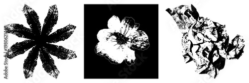 Three stylized flower forms rendered in high contrast halftone, vectorized with textured dots, isolated foreground elements, graphic design motifs.