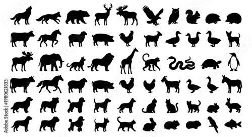 Photography Animal silhouette collection, 60 black vector icons of wild animals, farm livest