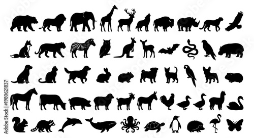 Black animal silhouettes collection, set of 50 wild and domestic animal vector icons, zoo and farm wildlife shapes on white background