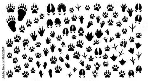Animal footprint silhouettes collection, black paw prints and wildlife track vector set, diverse bird and mammal trail icons on white background
