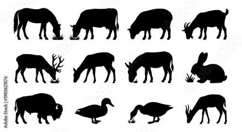 Farm animal silhouettes collection, set of 12 grazing livestock and wildlife vector icons, black domestic animal shapes on white background