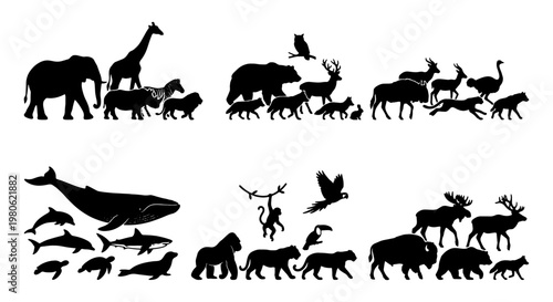 Wild animal silhouette collection, diverse wildlife species set in black vector icons, safari and forest animal shapes for nature design