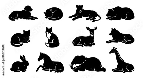 Photography Animal silhouette collection of 12 lying wildlife and domestic pets, black vecto
