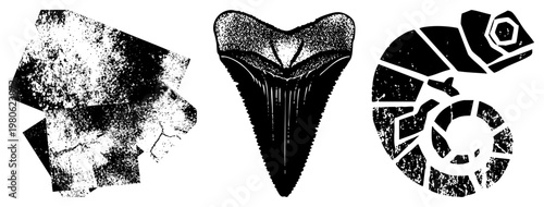 Stylized black and white featuring a shark tooth, chameleon, and abstract fragments with halftone texture, vector design, isolated foreground elements.