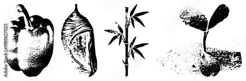 Black and white halftone illustrations of bell pepper, coconut, bamboo stalk, and sprouting seedling. Vector graphic with stippled texture, isolated elements, nature motifs, plant life stages.
