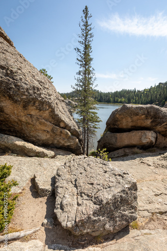 Solitary Pine Between Granite Boulders Overlooking Calm Mountain