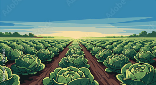 Vast green cabbage field under a wide sky at dawn or dusk