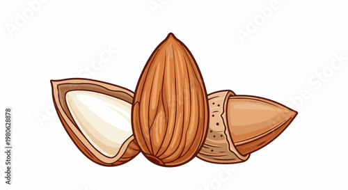 Three almonds, one whole, one cracked open, one sliced revealing its core