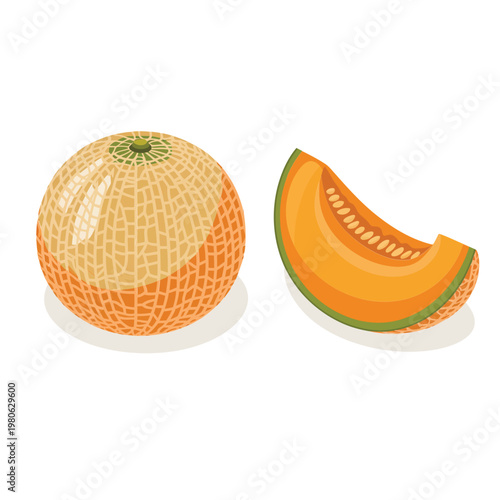 Quadro em tela Isometric cantaloupe melon, whole netted rind and slice, sweet fruit, summer des