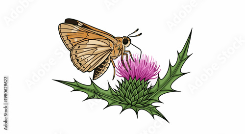 A brown butterfly rests on a prickly purple flower, with green leaves