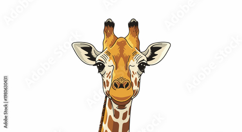 Close up illustration of a giraffe's head, facing forward, with a white background