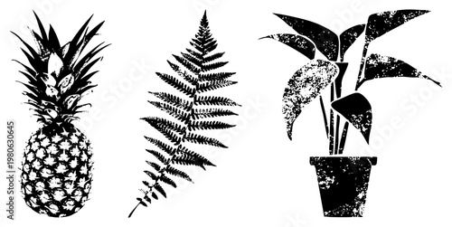 Black and white stylized tropical fruit and foliage,, fern frond, potted plant, vector illustration, grunge texture, botanical design, isolated graphic elements.