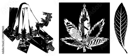 Ornamental botanical designs featuring lace, geometric, and halftone textures, ideal for graphic design or textile. Alternately called leaf art, botanical vector motifs.