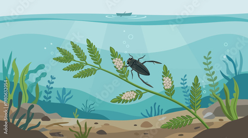 Underwater view of insect eggs attached to aquatic plant stems in lake with small boat on surface in flat vector illustration