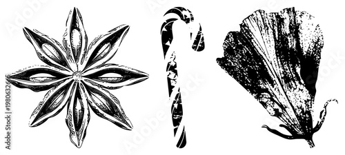 Black and white halftone illustrations of star anise spice, candy cane candy, and hibiscus flower petal. Classic engraving style, isolated vector graphics for design use.