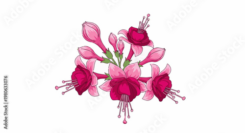 Cluster of vibrant pink and magenta fuchsia flowers with buds