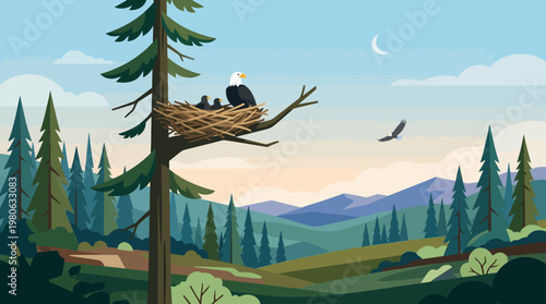 Bald eagle vector illustration in nest with chicks on tall pine tree with other eagle flying mountains.