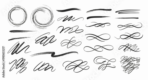 Collection of brush strokes and elegant flourishes in black ink