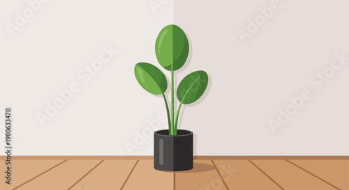 A potted green plant with broad leaves sits on a wooden floor