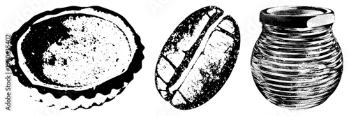 Artistic halftone depiction of coffee bean, abalone, and ceramic jar, classic vector engraving, illustration, vintage aesthetic.
