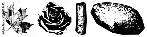 Stylized maple leaf, rose, cinnamon stick, and rock rendered in bold art with halftone texture. Isolated nature elements for design use, vector illustration, aesthetic.