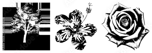 Vector graphic of tree, hibiscus, and rose rendered in with halftone shading, strokes, and glyph inspired design. Isolated botanical elements for graphic design, tattoos, or print.