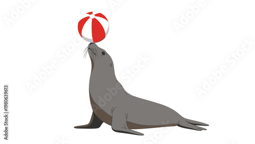 Playful sea lion expertly balancing a red and white beach ball on its nose, showcasing agility and marine animal intelligence.