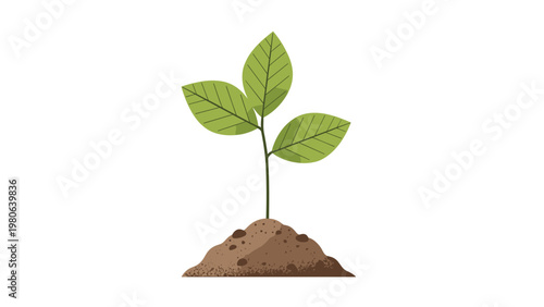 Young green plant with three healthy leaves sprouting from a small mound of rich soil, symbolizing new growth and environmental health.
