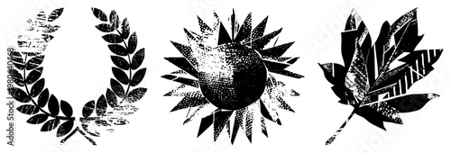 Stylized botanical vector featuring laurel wreath, sunflower, and maple leaf with distressed halftone, design, graphic art elements.