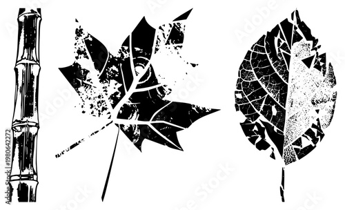 Abstract botanical vector set featuring bamboo stalk and leaves with distressed texture, design, graphic illustration, nature motif, artistic silhouette.