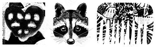 Raccoon head illustration, masked animal, nocturnal mammal, wildlife graphic, stylized vector, black and white, halftone texture.