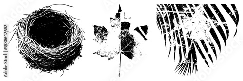Three nature motifs rendered in high contrast vector woven nest, textured maple leaf, and striped palm frond. Grungy, distressed black and white silhouettes ideal for graphic design.
