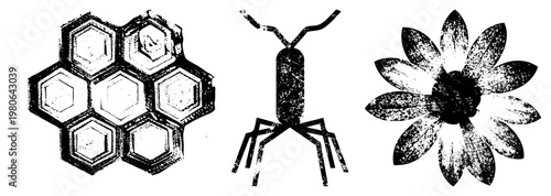 Abstract vector hexagonal beehive, simplified bacterium, and daisy flower, all rendered in gritty, textured black. Isolated graphic elements for design use.