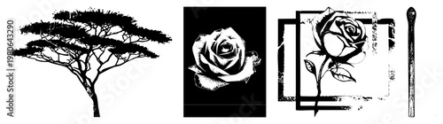 African acacia/baobab silhouette, stylized halftone rose, framed, matchstick vector art for graphic design.