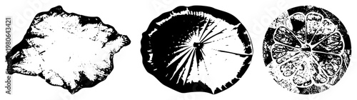 Textured organic forms, radial bursts, segmented circles modern art/UI backgrounds. Synonyms stylized silhouettes, vector, graphics.